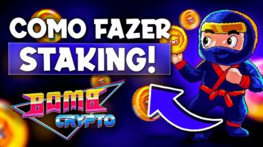 STAKE DE BCOIN - COMO FAZER E INFORMAÇÕES IMPORTANTES!