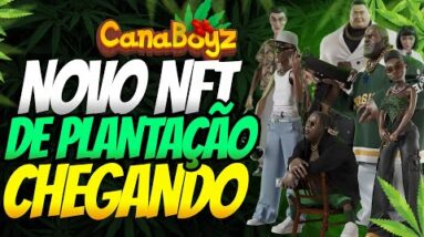 Canaboyz - NOVO JOGO NFT DE PLANTAÇÃO E GANGUES CHEGANDO!
