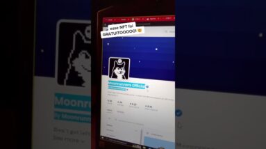 Você pagaria R$2.000 nessa foto de lobo NFT??? - Moonrunners