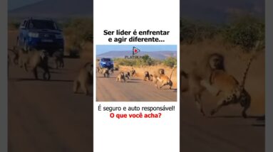 Seja líder se quiser PROSPERAR e GANHAR DINHEIRO! #rendaextra